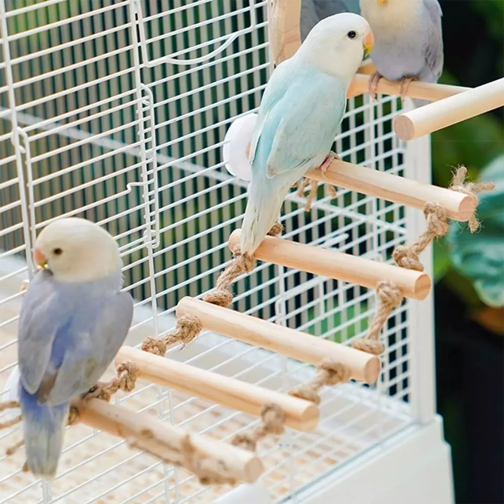 #15 Bird Cage Ladders Deals & Discounts