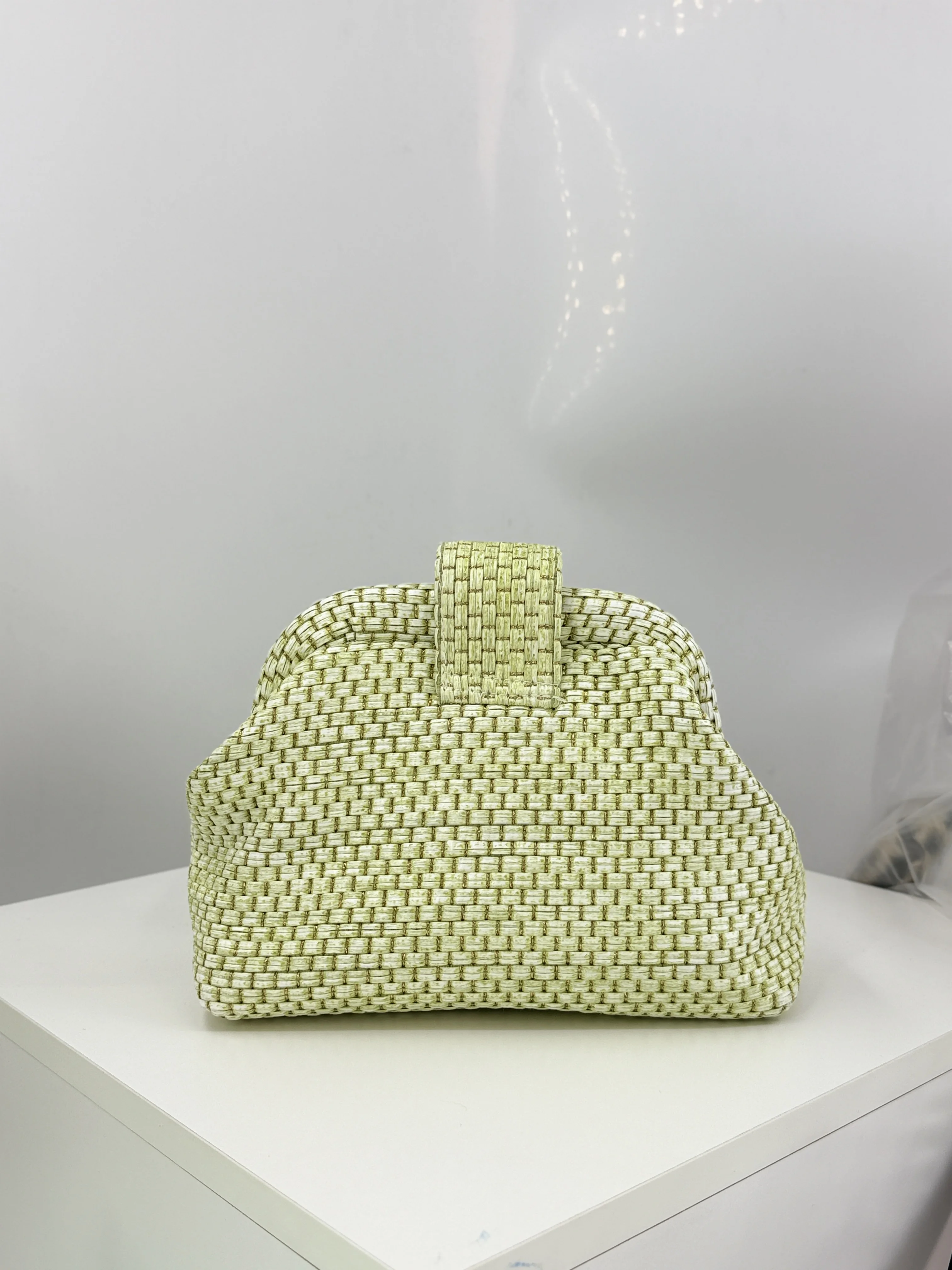 Lichtgroene clutch in Franse s - Luxury Bags Green recensie en prijs
