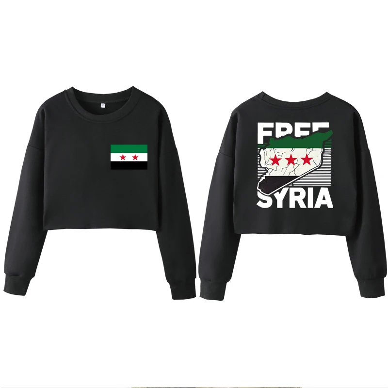 Syrian Freedom Flag Oversized Cropped Sweatshirt,December 8,2024 Damascus,Middle East,Anti-War Clothing,Peace,Political Awarenes