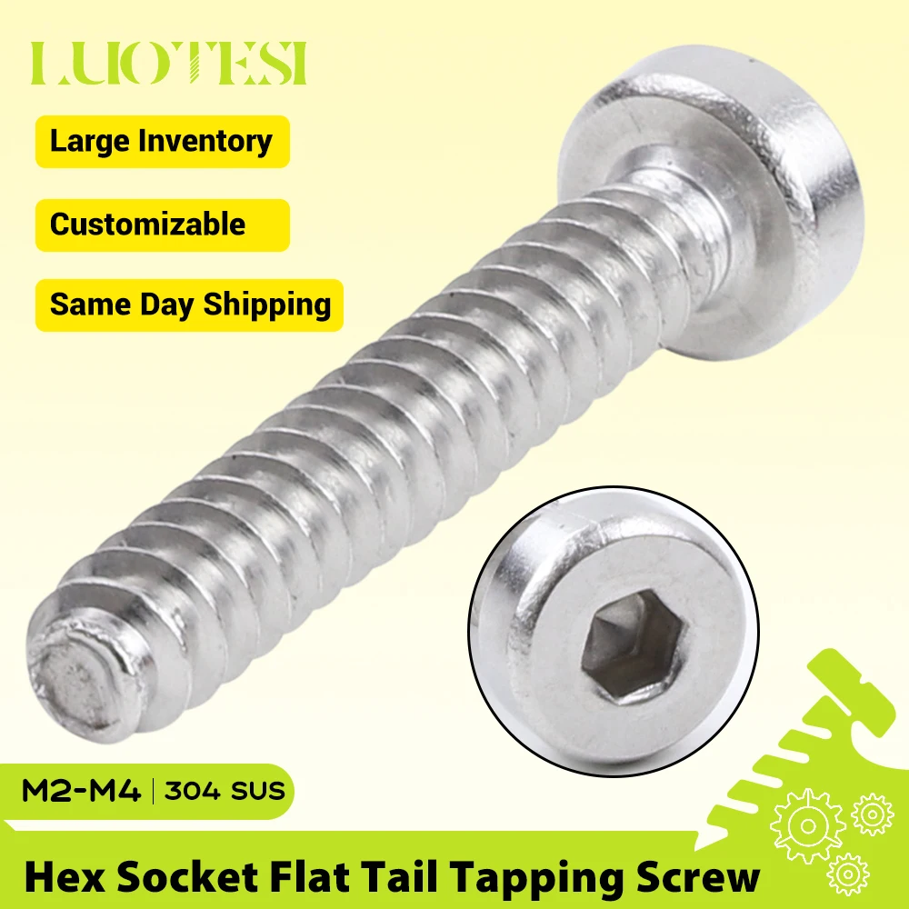 Allen Socket Thin Low Short Head Tapping Screw Flat Tail Stainless Steel M1.7-M6 Hex Cap Tapping Screws Cutting Tail for Plastic