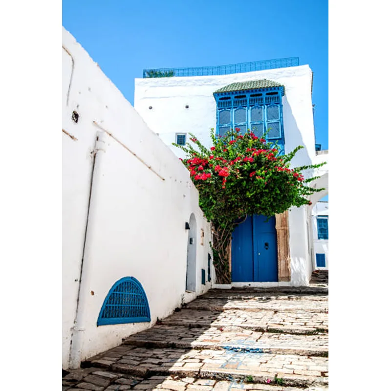 Decoração grega do feriado do mar Egeu, vila mediterrânea, flores fotografia fundo, Town Bay, XC-10