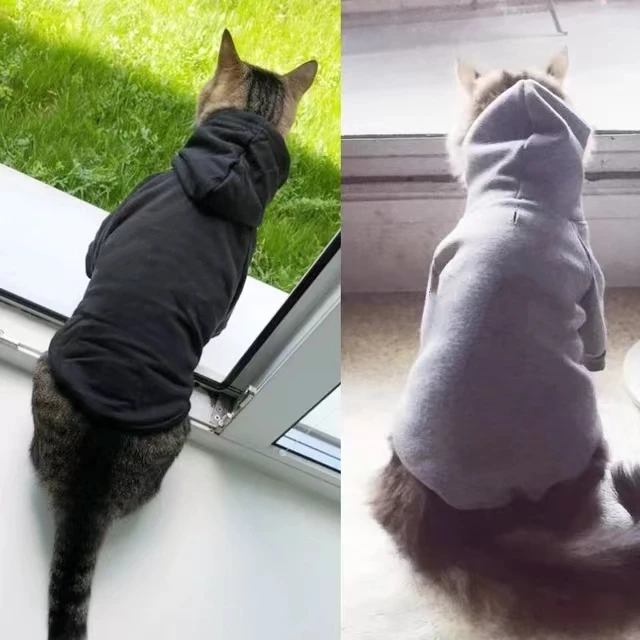 fashion cat cool clothes autumn winter puppy kitty plain hoodies accesorios kitten clothes jumper designer cat ear hoodie