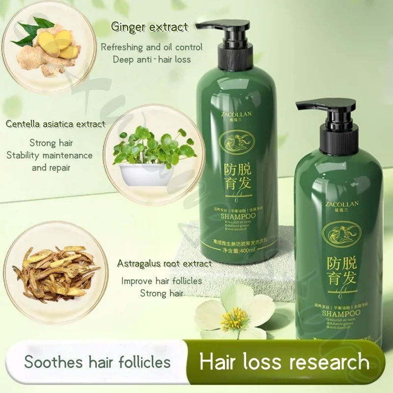 500ml Astragalus Root and Ginger Double Extract Shampoo, Arborvitae Leaf, Refreshing, Fluffy and Soothing Hair Follicles