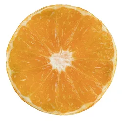 Funny Realistic Kiwi Lemon Tomato Cantaloupe Orange Blanket Green Fruits Giant Food Throw Blankets Soft Flannel Kids Adult Gifts