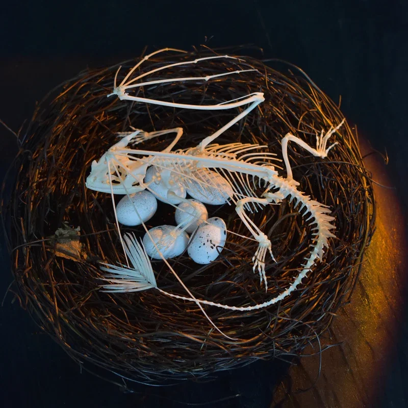 2125 Toothless Dragon Skeleton Replica Fantasy Art Craft Home Decor Ethical Collectible Animal Inspired Gift Science Dragon