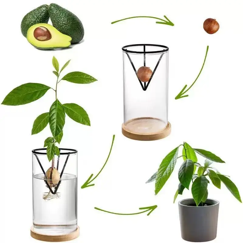 Metal Triangle Wire Hydroponic Growing Stand Multi‑Purpose Seed Pit Germination Holder Plant Propagation Support Rack for Variou