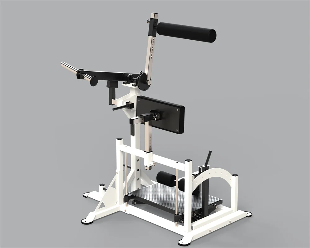 Best Price Gym Club Center Fitness Equipment Indoor Exercise Strength Trainer Lever Adjustment Muscle Rear Chain Developer