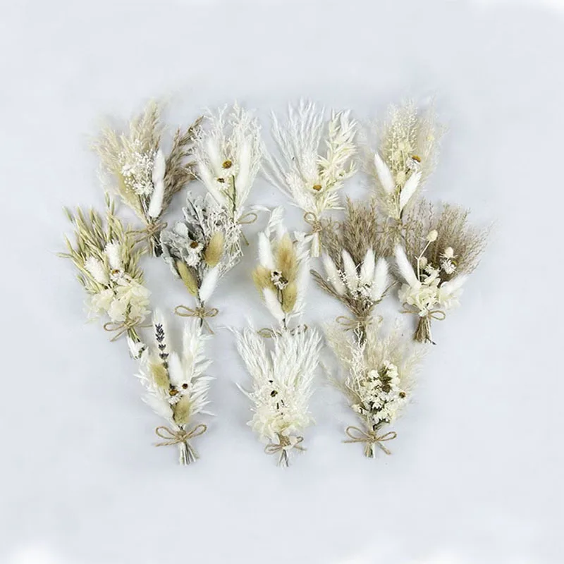 Pampas Grass Mini Natural Dry Flowers Bouquet Small Decorative Photography Photo Backdrop Home Decor Flower Bouquet DIY Card