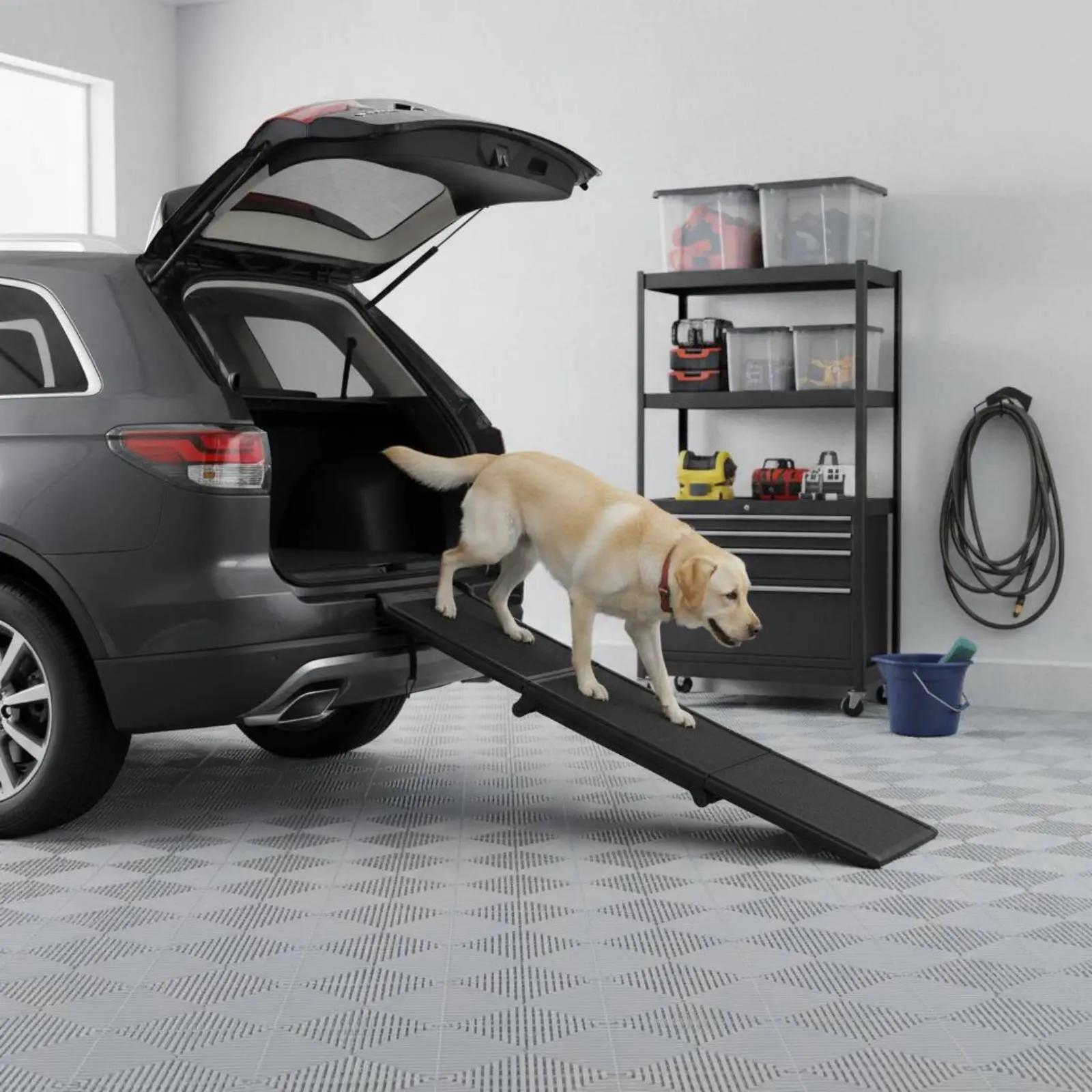 

Folding Dog Ramp Foldable Anti-Slip Dog Ramp PP Material Heavy-Duty for Large Dogs