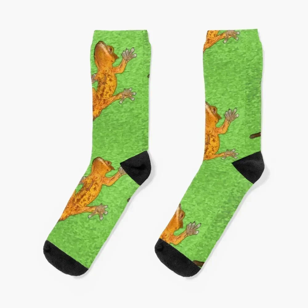 

Crested Gecko Socks Hiking boots crazy compression christmass gift Boy Socks Women's