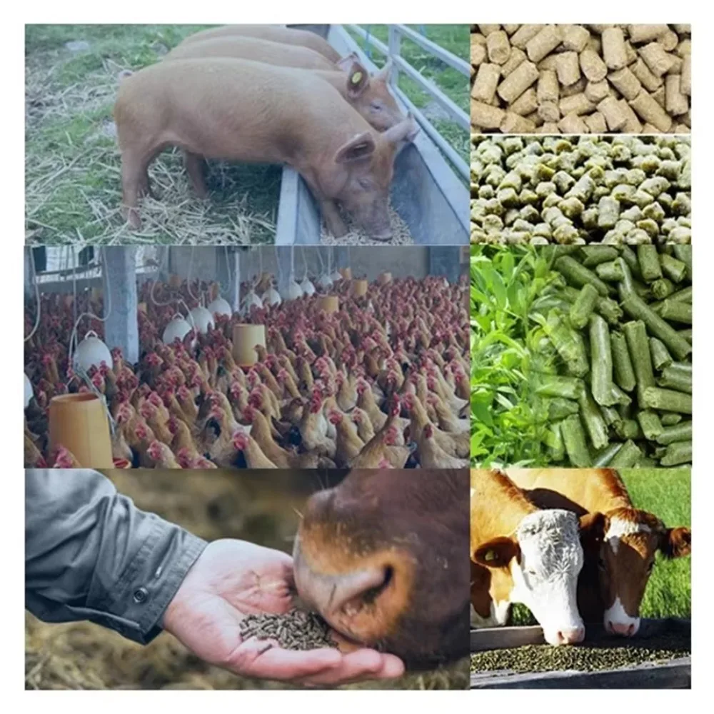 High Efficiency 2Ton/h CE Cooling Fan Electric Poultry Chicken Cattle Pig Sheep Rabbit Animal Feed Mill Pellet Making Machine