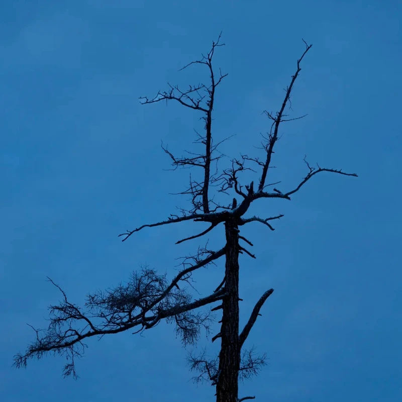 

GEPRC Naked Camera GP9/GP10/GP11/GP12 - 4K 5K Fit CineLog 35 Cinebot MAKE5 FPV RC Camera