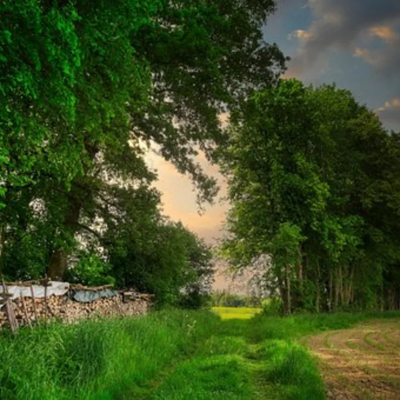 4 قطعة استبدال 1.9 بوصة عجلات سبائك الألومنيوم لسيارة TRX4 D90 RC #1