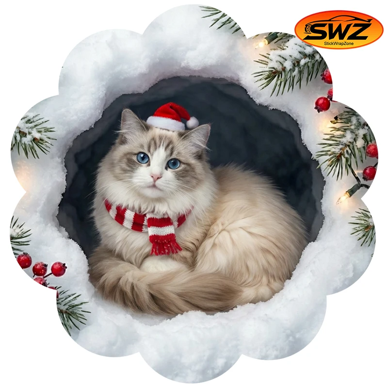 Cute Ragdoll Christ…