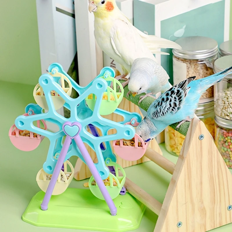 Pet budgie cage feeder Toy multi-bird foraging training color wheel Small size bird cage decoration