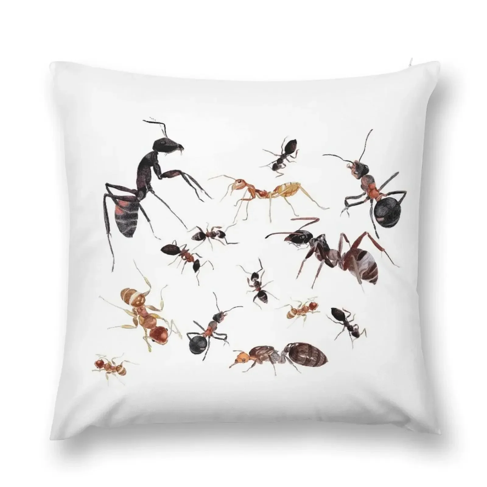 

A Medley of Ants Throw Pillow Cushions Cover Pillowcases For Pillows pillow