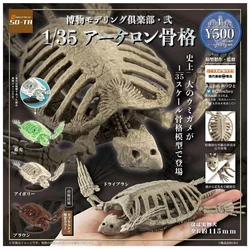 BANDAI Japan Twisted Egg Ancient Giant Tortoise Skeleton Prehistoric Giant Creature Illustration Ornament GACHA TOYS