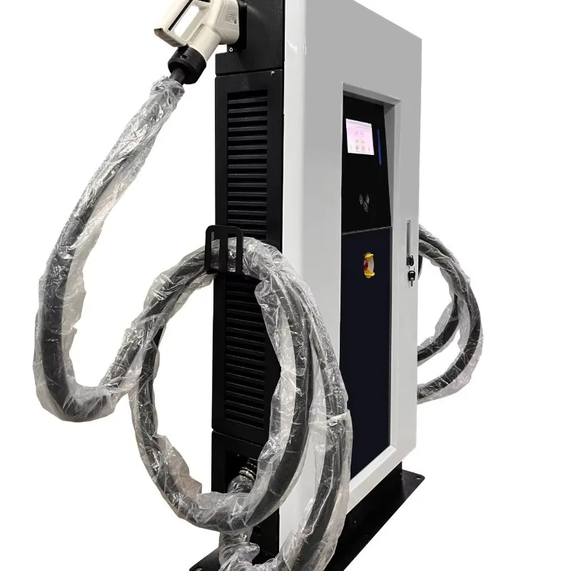 Dual PLUGS Fast DC Floor-Standing Charging Pile New Commercial Operation Electric Vehicle 60kW CCS2/GBT Card Payment OCPP