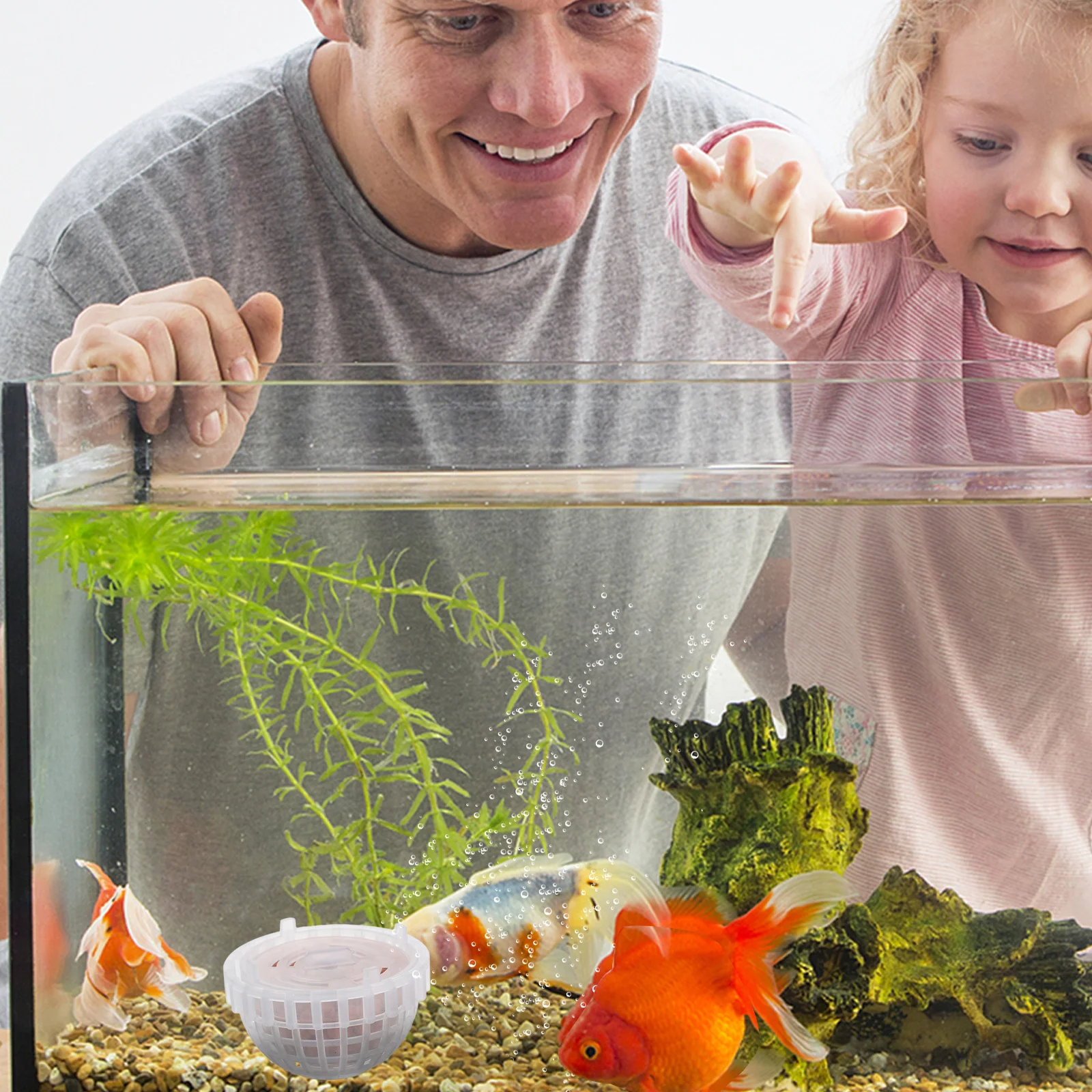 

Mineral Balls Moss Ball Aquatic Plant Cultivation Holder Fish Tank Aquarium Plant Pot Aquarium Decorations Moss Ball