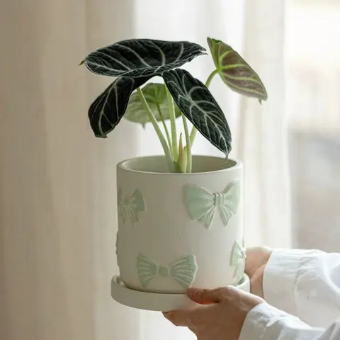Simple Hand‑Painted Ceramic Planter Creative Home Living Room Flower Pot Desktop Floral Decor Ornament