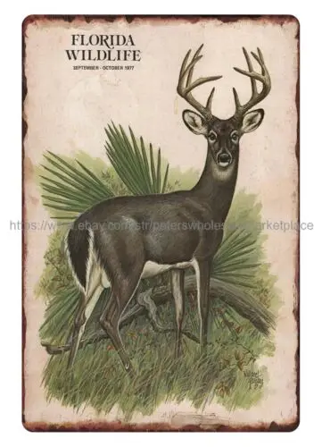 1977 Florida Wildlife Mag cover art deer metal tin sign metal vine wall decor