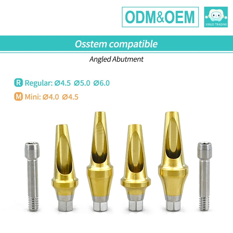 Osstem Angled Abutment 17 Degree a & B Type for Hiossen TS III Implant System Titanium Grade 5 Dental Restoration Factory Price