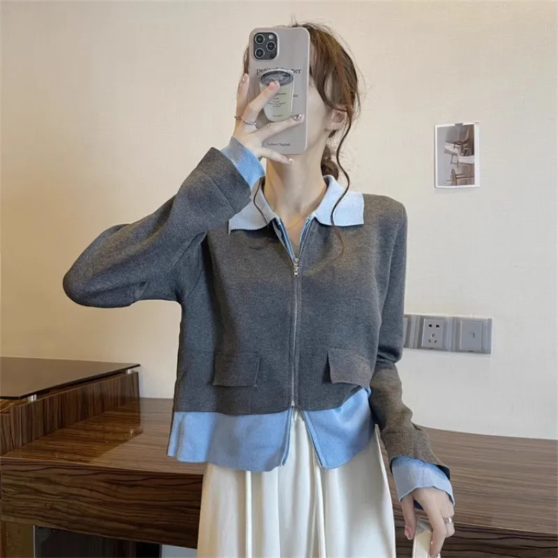 

Рубашки с длинным рукавом, женские атласные топы на пуговицах большого размера, рукава-фонарики, плиссированный подол в горошек, весенняя одежда во французском стиле