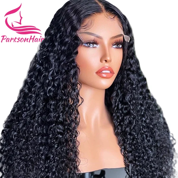 

100% Real HD Lace Curly Wig Glueless Human Hair Wig Pre Plucked 5x5 Lace Closure Wig Ready to Wear HD Lace Front Wigs For Women