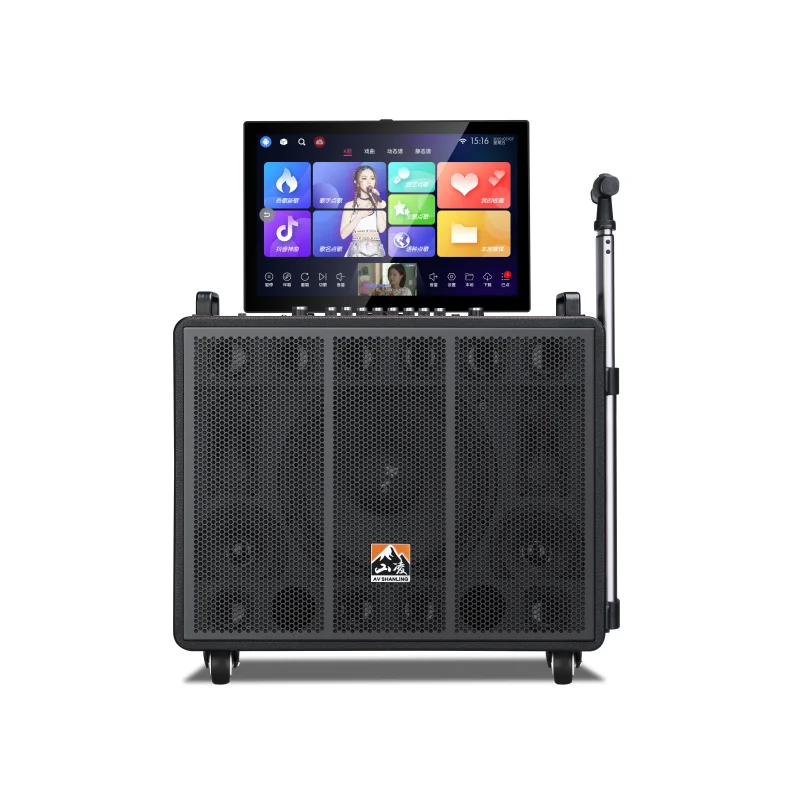 2024 Multi-function Karaoke System Machine Wifi Portable Karaoke Speaker with 17 Inch Black Battery Wooden Speaker TYPE-C RGB