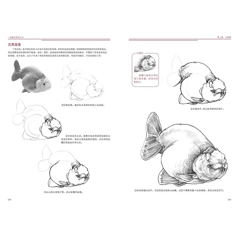 200 Easy Animal Sketches: Step-by-Step Drawing Tutorial Book for Beginners, Learn Quick Sketching from Basic to Fun Designs
