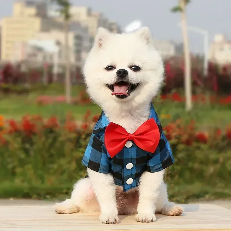 Small Pet Dog Plaid Shirt with Bow Tie Teddy Pomeranian Chihuahua Puppy Suit Wedding Party Formal Dress Dog Groomsman Clothes