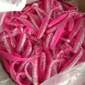 010 lx002 20pcs