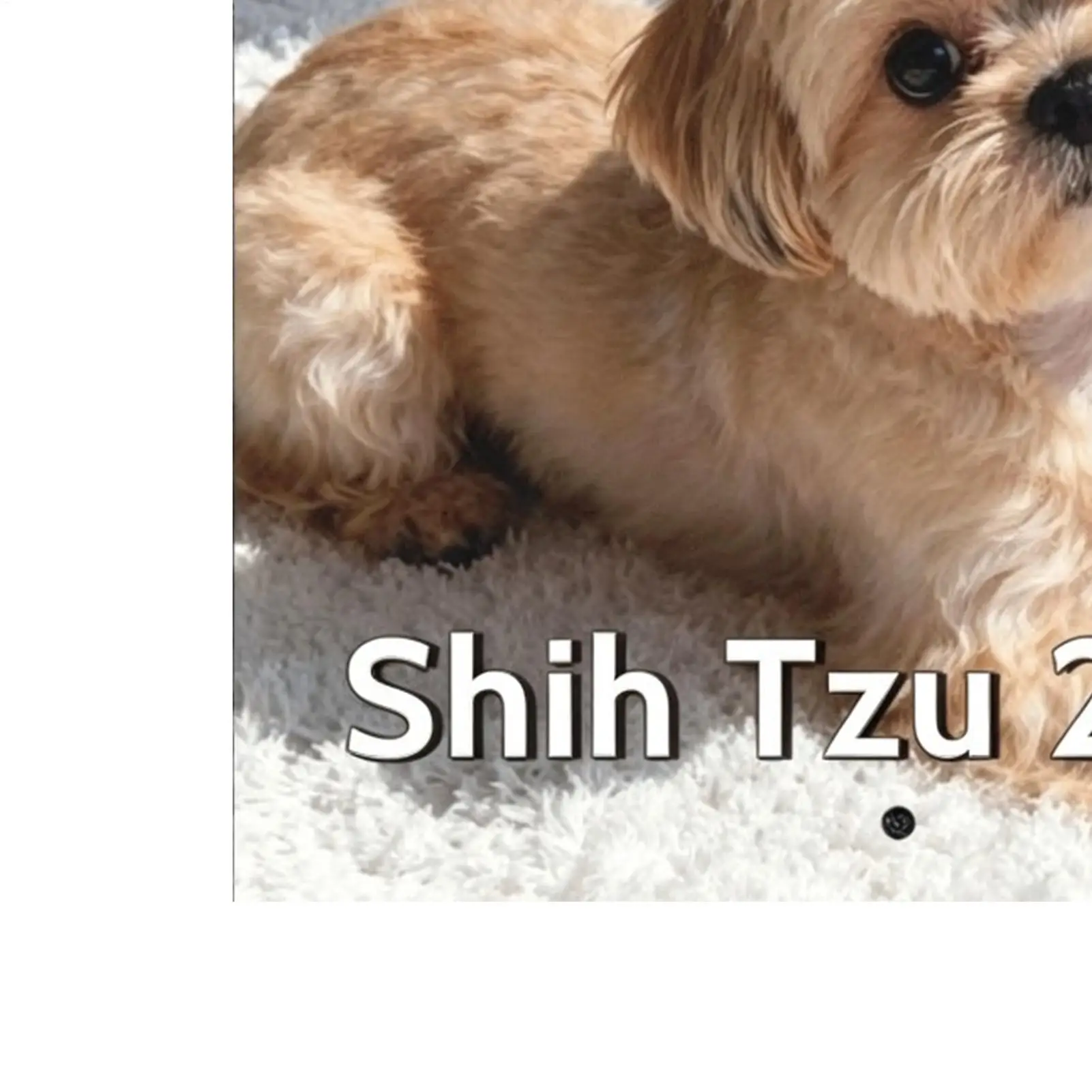 2027 Monthly Calendar Thick Paper Funny Daily Weekly Monthly Planner Shih Tzu 2027 Calendar 12 Month For Home Office School
