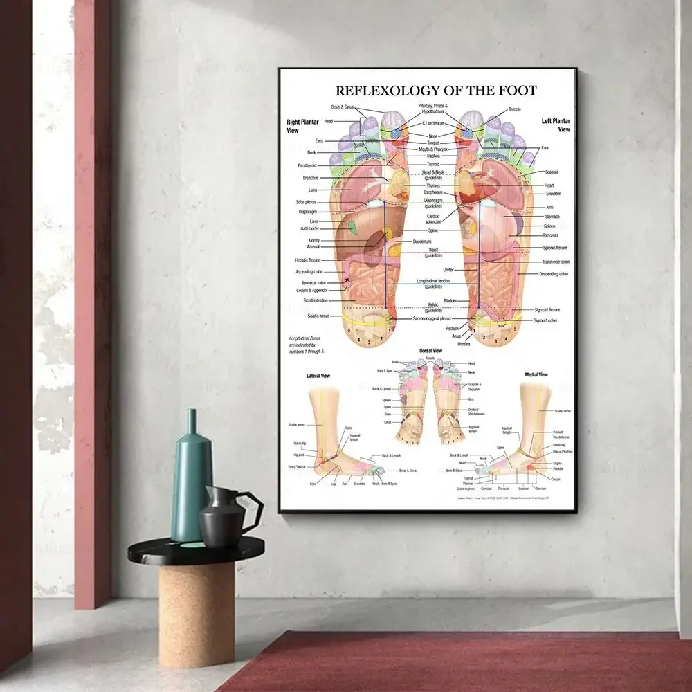 Scandinavian Simple Wall Art Acupuncture Points Diagram Anatomy Foot Reflexology Poster Print Home Bedroom Living Room Decor view 4
