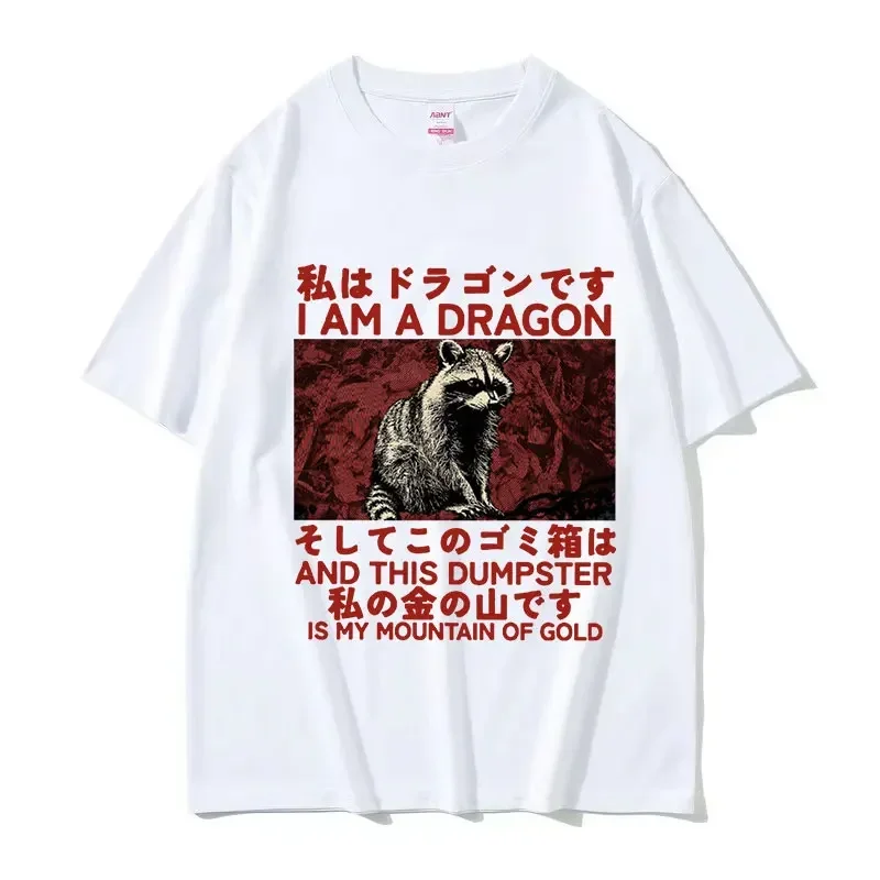 T-shirt graphique drôle de raton laveur japonais pour hommes, Économie rétro unisexes, Économie en coton, Sreetwear à la mode, h