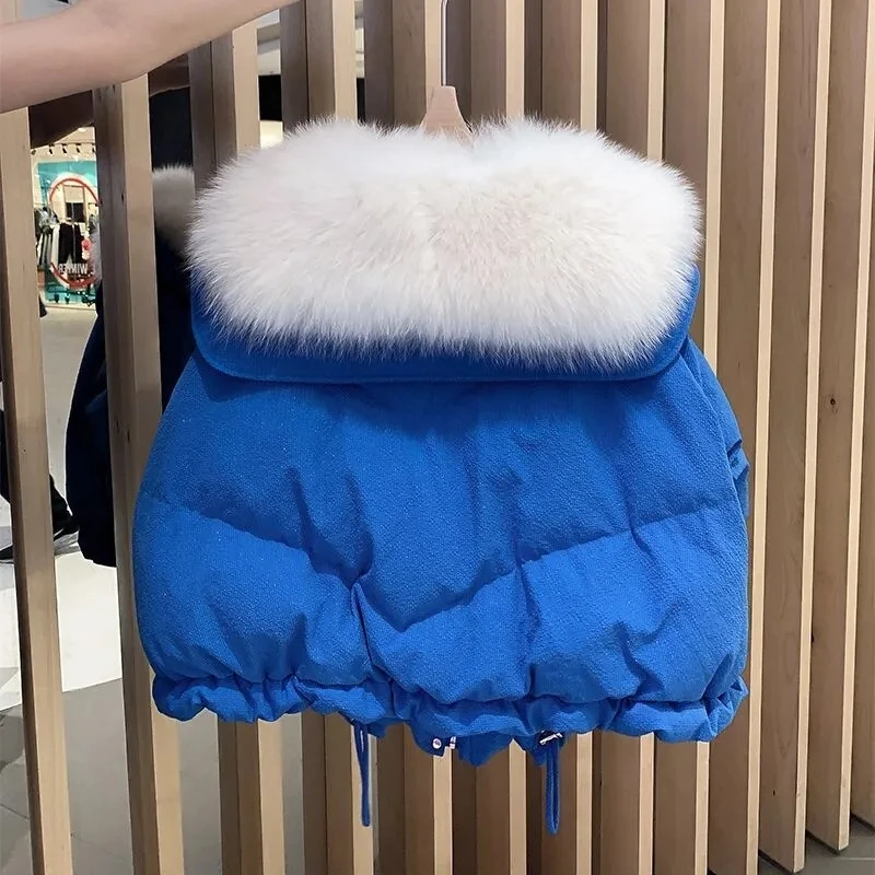 Jaket Katun Kerah Biru Dongker Imitasi Bulu Rubah Klein Blue Wanita Musim Dingin 2025 Desain Tebal Baru Mantel Pendek Wanita Hangat Pike