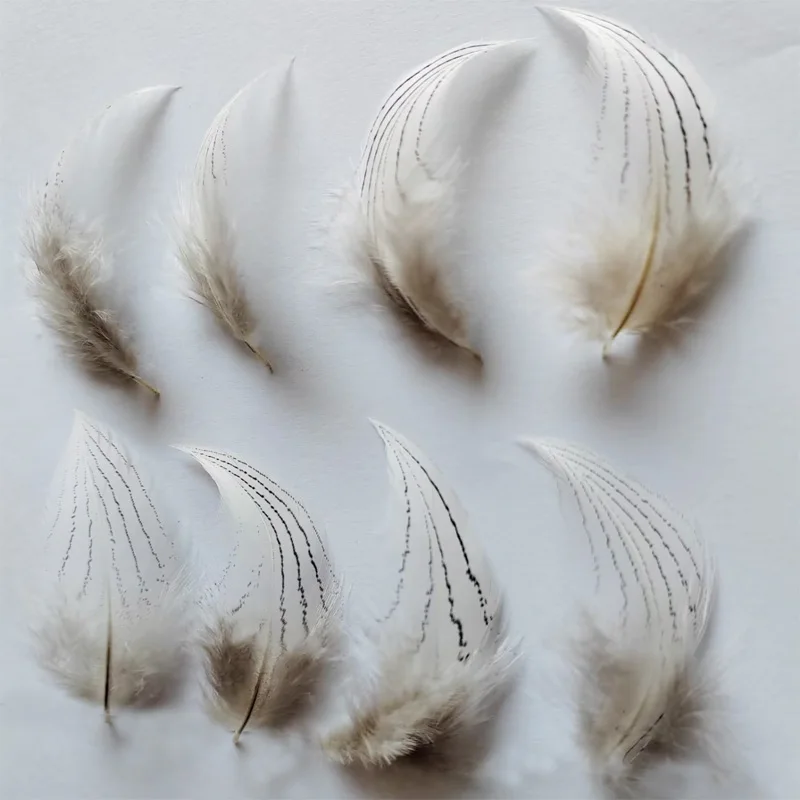 50 sztuk / partia! 4-12 cm Długi naturalny pióropusz, SREBRNY krzepnięta BODY PLUMAGE FEATHERS Natural White Black Fly / Fishing / Craft