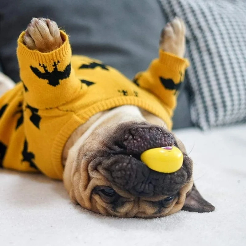 مضمونة لإحضار الفرح ووحصل على ذيولهم يسخرون بالسعادة، هذه الكرات ذات الجودة العالية والحيوية والشراكة للحيوانات الأليفة #6