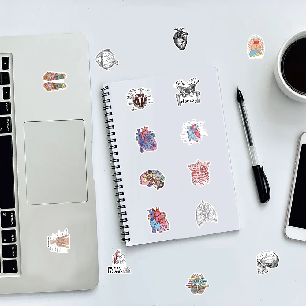 10/50 SZTUK Naklejki z Anatomii Człowieka Organy Człowieka Wiedza Medyczna Graffiti Dekoracja Walizka Notatnik Wodoodporne Naklejki Zabawki