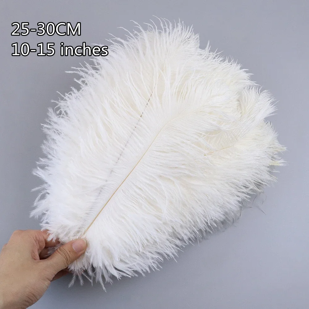 10Pcs Dyed Ostrich Feathers 25-30CM Soft Fluffy White Plumes For Wedding Party Home Decoration DIY Crafts Accessory Feather boas