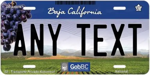 Custom Baja California 2010 Mexico License Plate Novelty Auto ATV MOPED Bicycle Aluminum