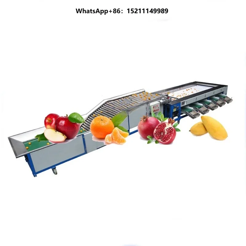 Multifunctional 304 Stainless Steel Automatic Fruit Vegetable Grader Sorter 220V 1 Year Warranty for Farm Use