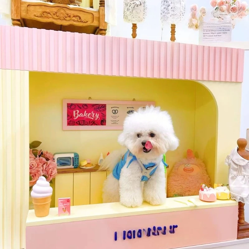 Pet workbench | Dopamine dessert station in the background photography clock