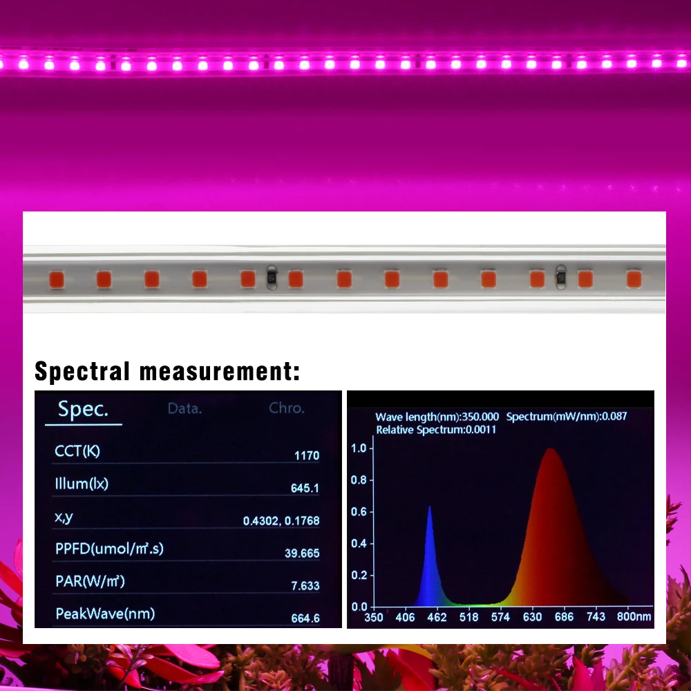 LED Grow Light 2835 Chip impermeabile spettro completo striscia LED 220V 120LEDs/M lampade di crescita fai-da-te per la coltivazione di piante in serra