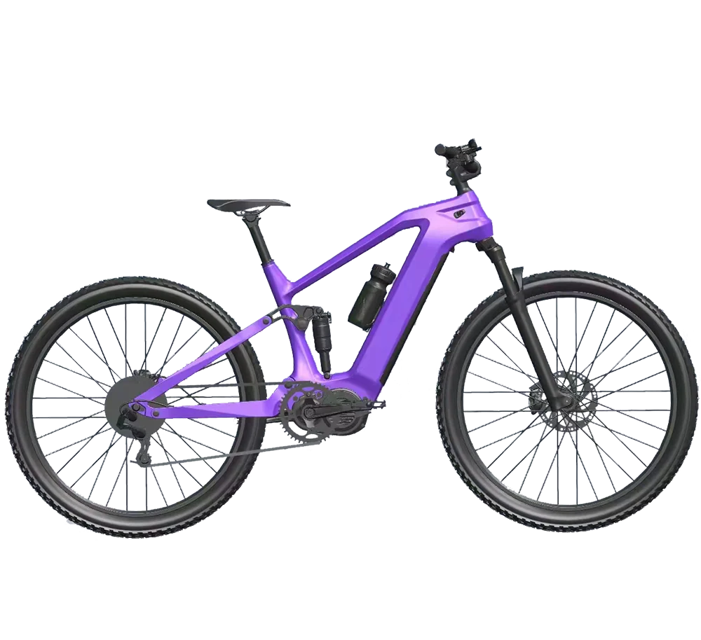 OEM Complete Carbon Road Bike, Carbon Fiber Material, Aero Internal Routing Frame, Disc Brake Professional Racing Bicycle