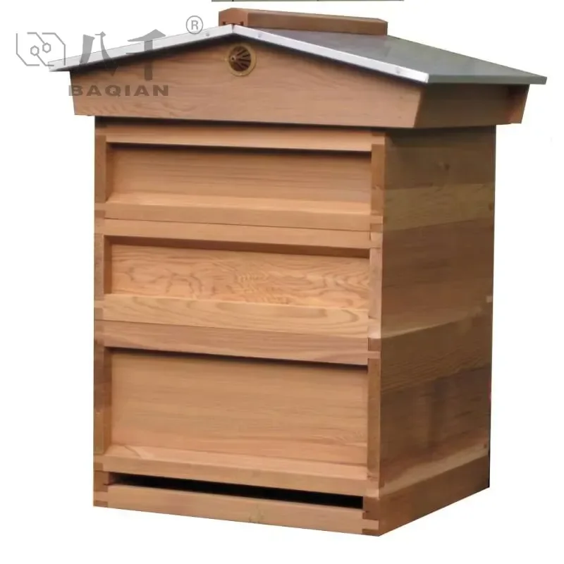 Beekeeping Equipment 11 Frames Wood Beehive Kit Red Cedar Bee Hive for Sale Beehives