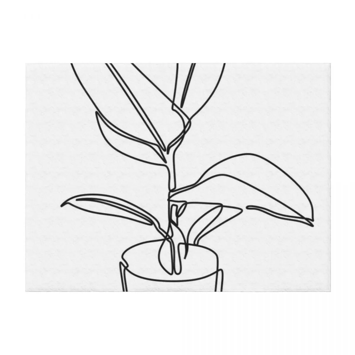 

Line Art Potted Plant Throw Blanket Sofa Throw Weighted Bed Summer Blankets