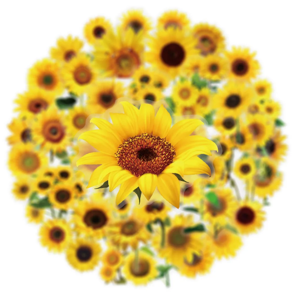 50PCS Sunflower กันน้ําโปร่งใสดอกไม้สติกเกอร์ตกแต่งโน้ตบุ๊คกีตาร์ถ้วยน้ํากระเป๋าเดินทาง Graffiti ของเล่นเด็ก