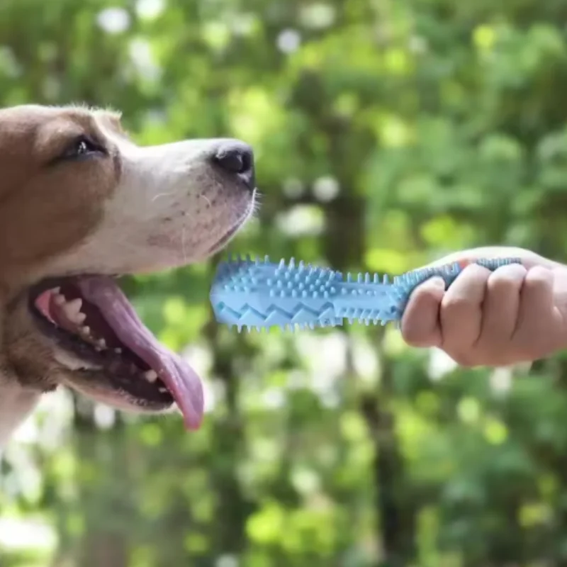 Durable Dog Chew Toy Stick Soft Rubber Toothbrush Oral Care Pet Chew Toy with Tooth Cleaning Points And Massage Features