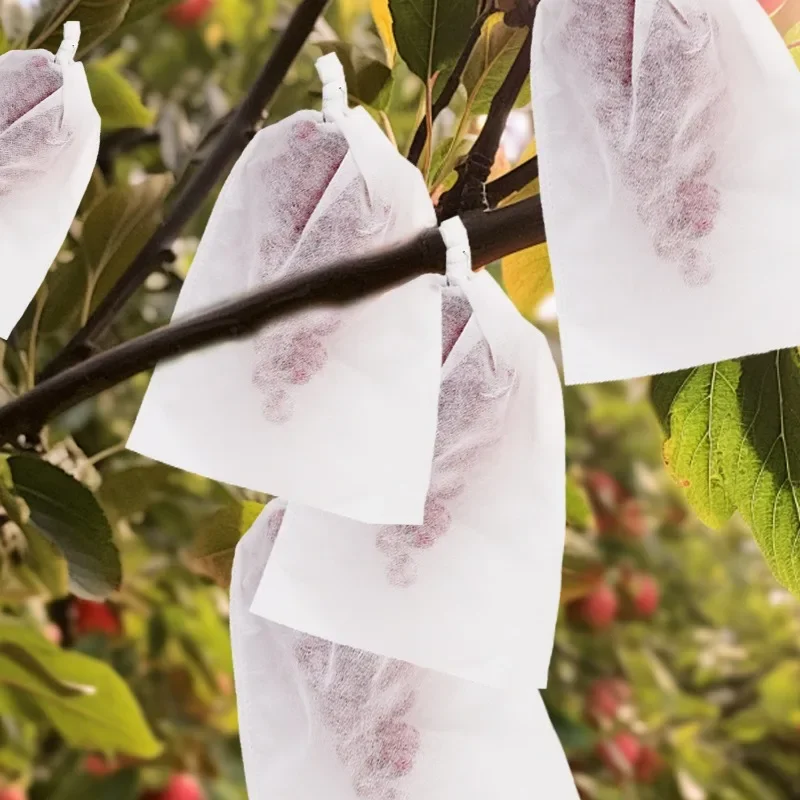 Tas Pelindung Buah Anggur Tas Penumbuh Tanaman Tas Jaring Anti-burung Kantong Beku Perlindungan Non-tenun Penutup Tanaman Sayuran